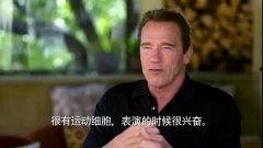 阿诺最新爆料视频播放,精彩瞬间与幕后故事大公开 第1张 阿诺最新爆料视频播放,精彩瞬间与幕后故事大公开 第1张